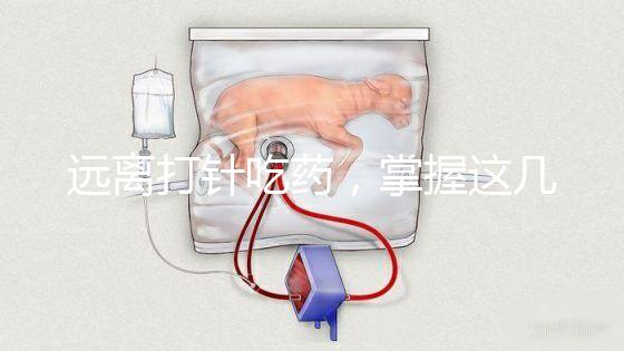 遠(yuǎn)離打針吃藥,掌握這幾個小妙招寶寶退燒會更快