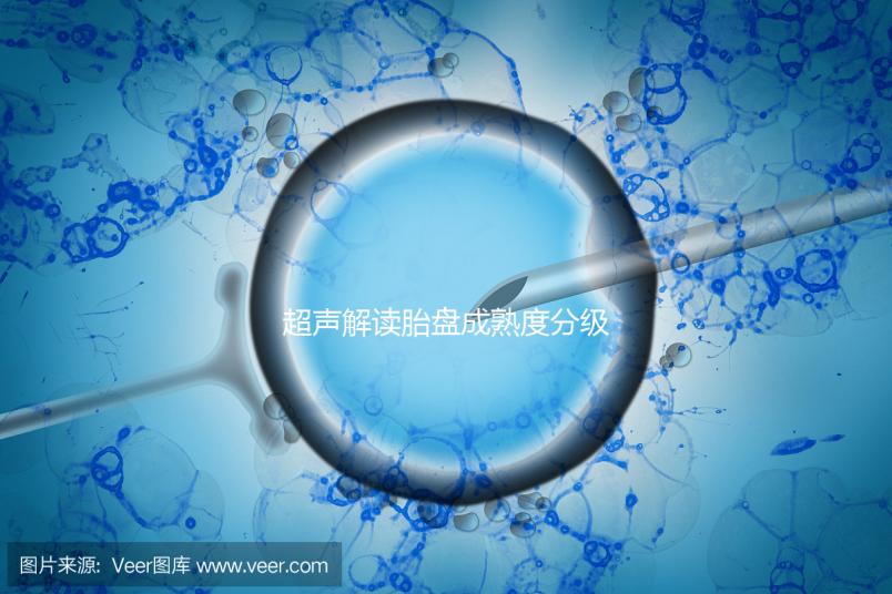 超聲解讀胎盤(pán)成熟度分級(jí)標(biāo)準(zhǔn),二級(jí)到三級(jí)時(shí)間真說(shuō)不準(zhǔn)