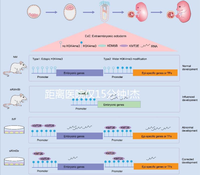 距離醫院僅15分鐘!杰特寧附近有這些酒店可選擇