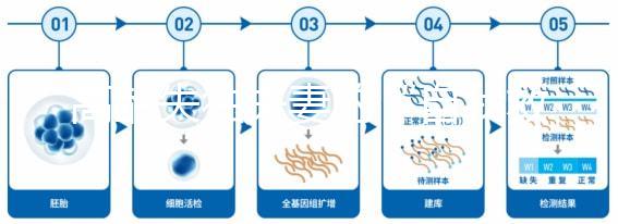 高齡失獨夫妻的“自我救贖”，為什么大都會選擇做試管嬰兒？