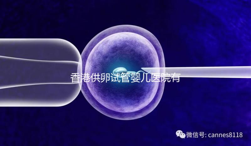 香港供卵試管嬰兒醫院有哪些點？附2024私立機構排名