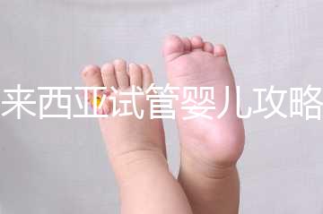 馬來西亞試管嬰兒攻略，試管流程及費用看完就懂