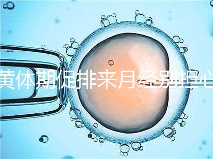 黃體期促排來月經別擔心！過來人經驗告訴你怎么辦