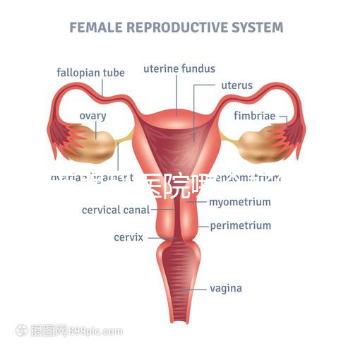 雞西男科醫(yī)院哪個(gè)好答案在這里?公立和私立各有優(yōu)勢(shì)