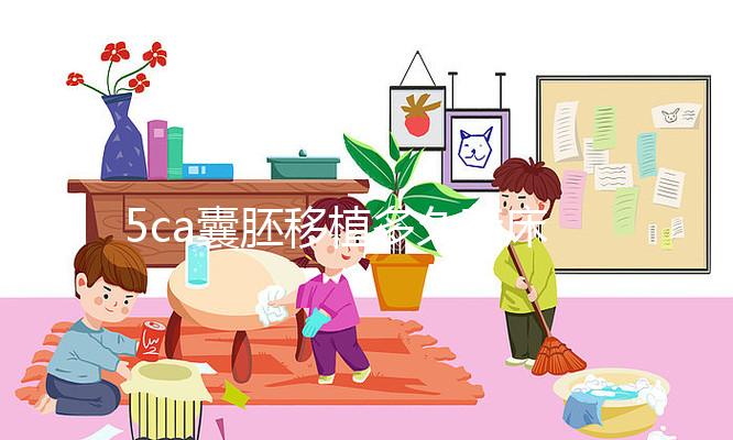 5ca囊胚移植多久著床、有何反應答案來了，第8天白板要警惕