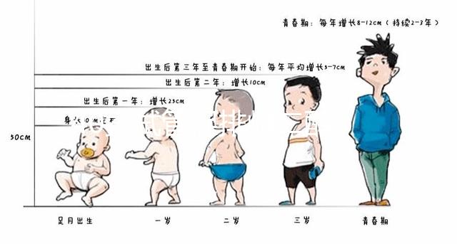 40歲試管促排雌二醇385是否1-2個(gè)卵的答案揭曉，想造戳