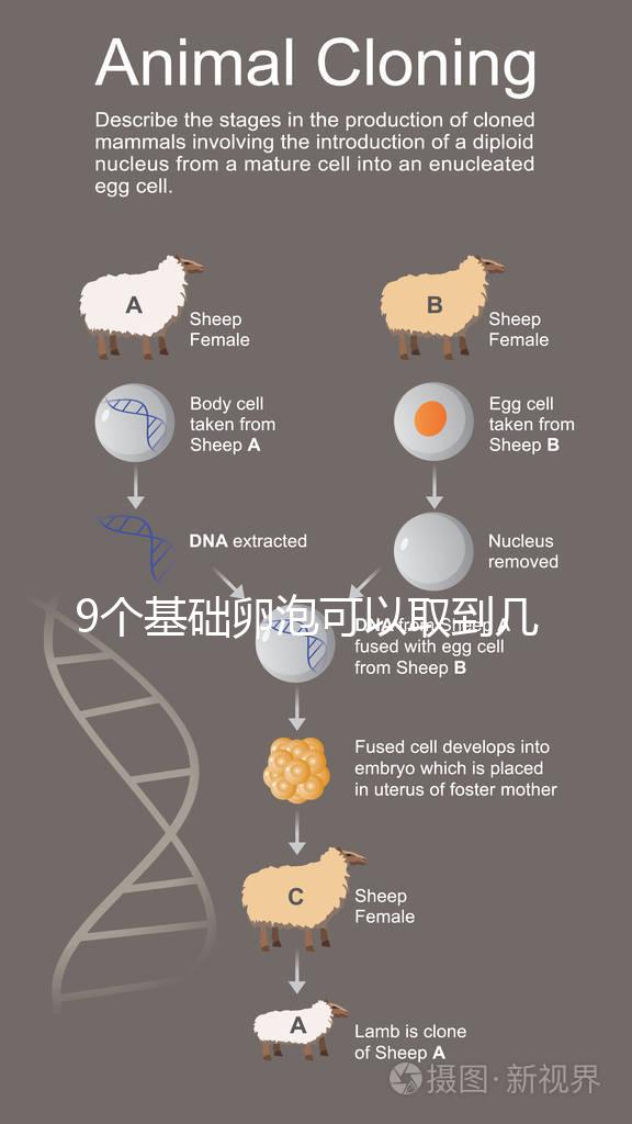 9個基礎卵泡可以取到幾個卵戳，促排后會不會增加很重要