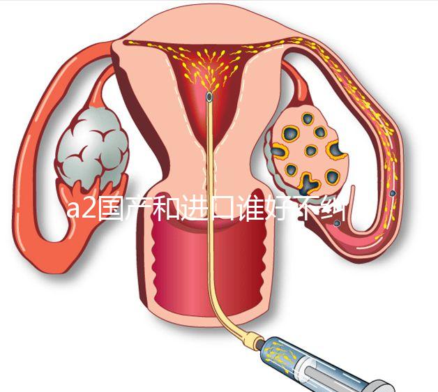 a2國產(chǎn)和進(jìn)口誰好不糾結(jié),看配方、口感、價(jià)格對比再選