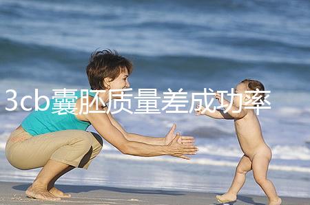 3cb囊胚質量差成功率低?醫(yī)生:移植后