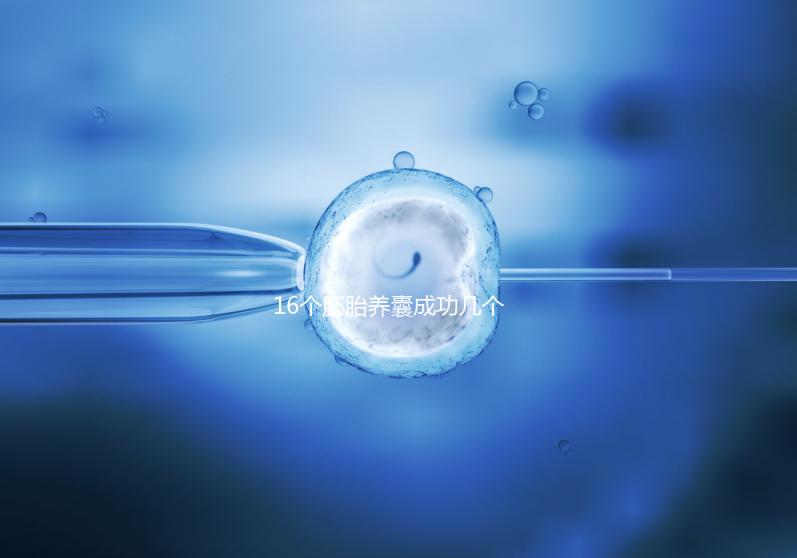 16個胚胎養(yǎng)囊成功幾個說不準,11個概率高不高真不一定