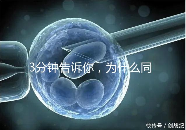 3分鐘告訴你,為什么同卵雙胞胎不會是龍鳳胎