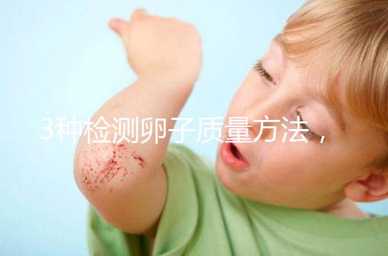 3種檢測卵子質量方法，怎么做才能促進卵泡發育