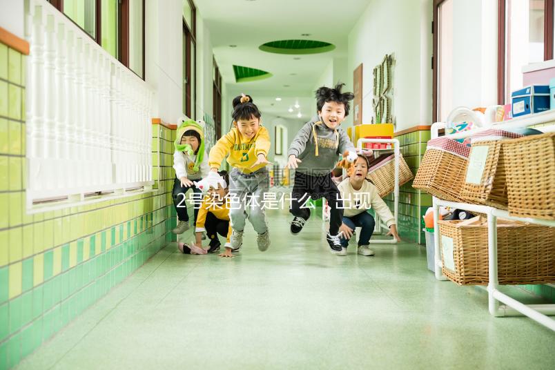 2號染色體是什么，出現異常有哪些后果