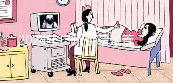 2024年廣州供精試管嬰兒最新價格表，必須符合要求