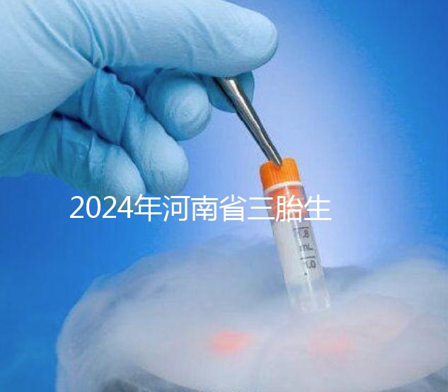 2024年河南省三胎生育津貼發生變化！南陽和信陽最高獎勵20萬！