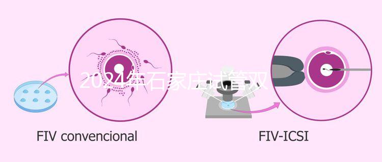 2024年石家莊試管雙胞胎醫(yī)院排名，不要錯(cuò)過新華、長安
