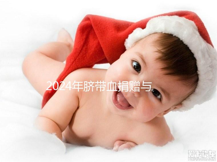 2024年臍帶血捐贈與自存的區別來襲,哪個是好的揭秘?