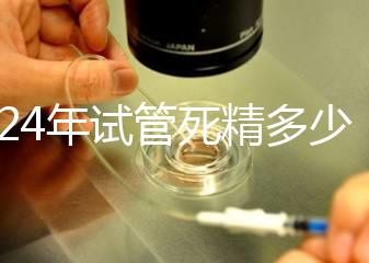 2024年試管死精多少錢？報銷政策和費用都有