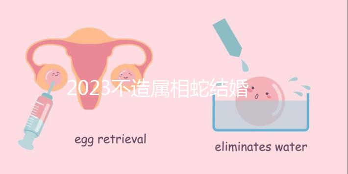 2023不造屬相蛇結(jié)婚跟什么相配？切記和屬豬易犯沖