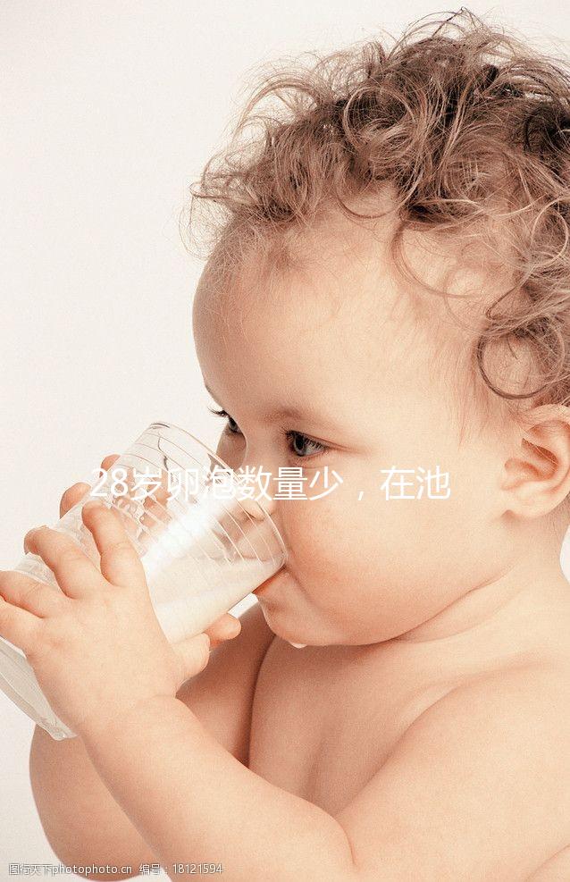 28歲卵泡數(shù)量少，在池州能不能做試管嬰兒？