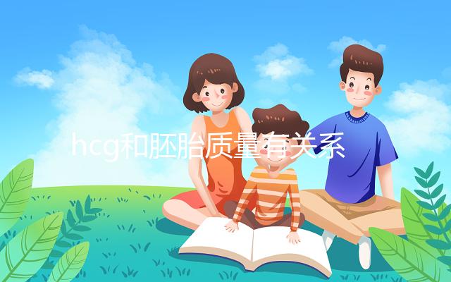 hcg和胚胎質量有關系？hcg低并不一定是胚胎不好！